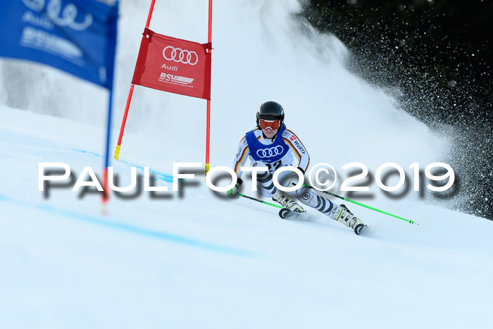 FIS Riesenslalom, ATA; Bay. Meisterschaft, Damen + Herren, 24.01.2020