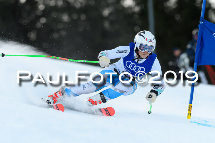 FIS Riesenslalom, ATA; Bay. Meisterschaft, Damen + Herren, 24.01.2020