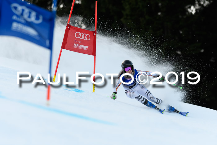 FIS Riesenslalom, ATA; Bay. Meisterschaft, Damen + Herren, 24.01.2020