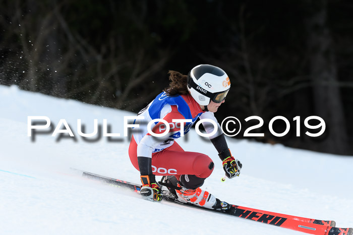 FIS Riesenslalom, ATA; Bay. Meisterschaft, Damen + Herren, 24.01.2020