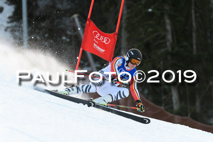 FIS Riesenslalom, ATA; Bay. Meisterschaft, Damen + Herren, 24.01.2020