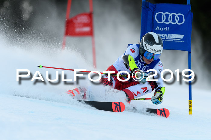 FIS Riesenslalom, ATA; Bay. Meisterschaft, Damen + Herren, 24.01.2020