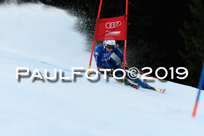 FIS Riesenslalom, ATA; Bay. Meisterschaft, Damen + Herren, 24.01.2020