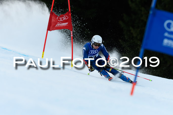 FIS Riesenslalom, ATA; Bay. Meisterschaft, Damen + Herren, 24.01.2020