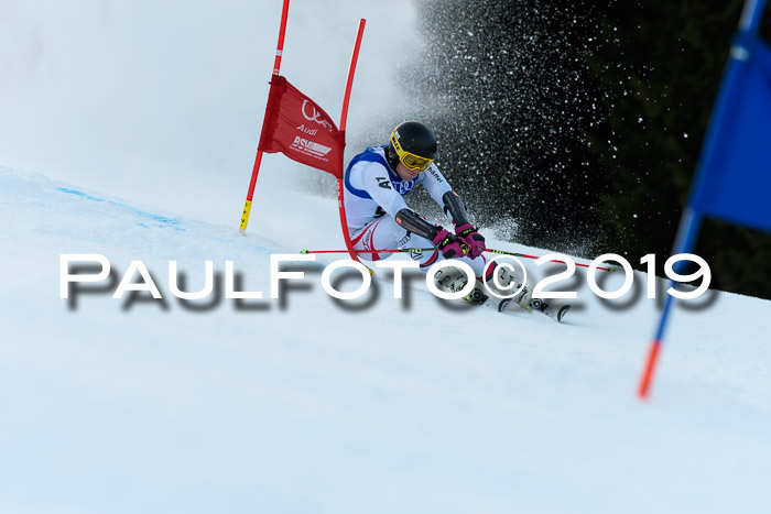 FIS Riesenslalom, ATA; Bay. Meisterschaft, Damen + Herren, 24.01.2020