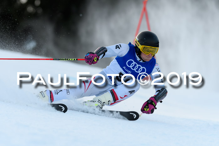 FIS Riesenslalom, ATA; Bay. Meisterschaft, Damen + Herren, 24.01.2020