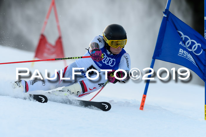 FIS Riesenslalom, ATA; Bay. Meisterschaft, Damen + Herren, 24.01.2020