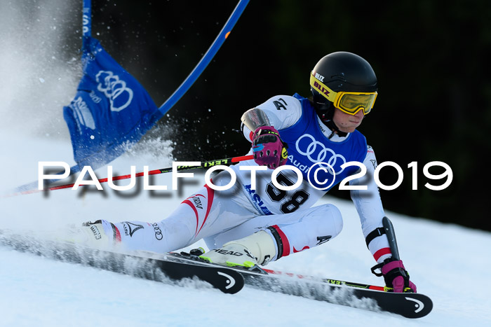 FIS Riesenslalom, ATA; Bay. Meisterschaft, Damen + Herren, 24.01.2020