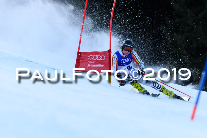 FIS Riesenslalom, ATA; Bay. Meisterschaft, Damen + Herren, 24.01.2020