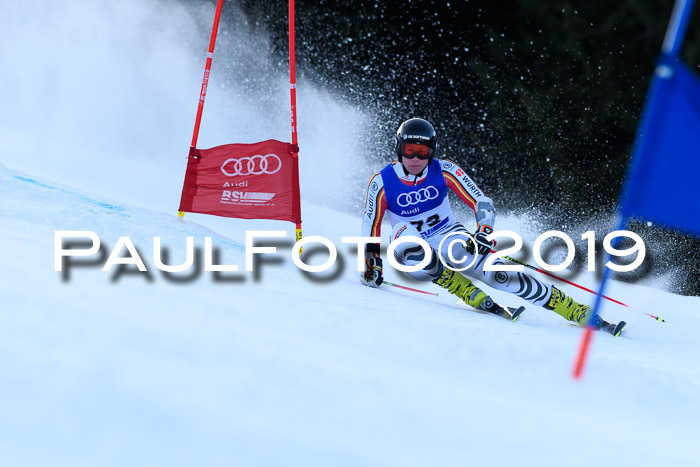 FIS Riesenslalom, ATA; Bay. Meisterschaft, Damen + Herren, 24.01.2020