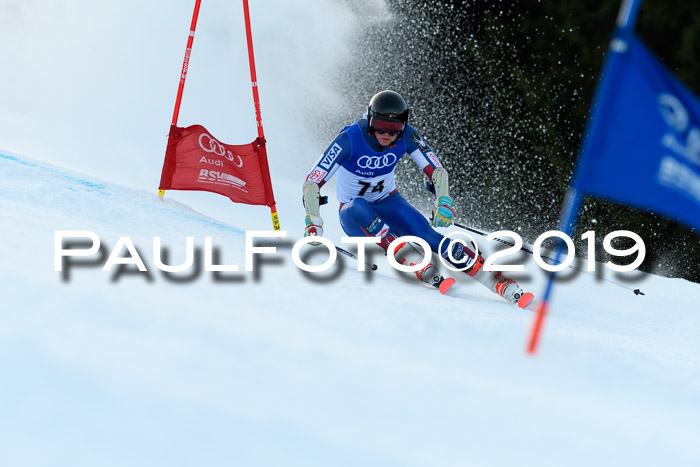 FIS Riesenslalom, ATA; Bay. Meisterschaft, Damen + Herren, 24.01.2020