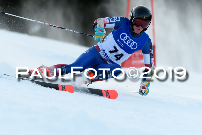 FIS Riesenslalom, ATA; Bay. Meisterschaft, Damen + Herren, 24.01.2020