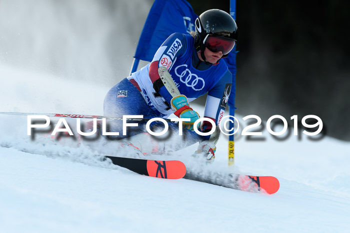 FIS Riesenslalom, ATA; Bay. Meisterschaft, Damen + Herren, 24.01.2020