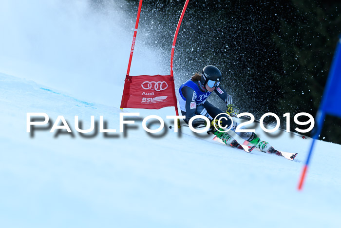 FIS Riesenslalom, ATA; Bay. Meisterschaft, Damen + Herren, 24.01.2020