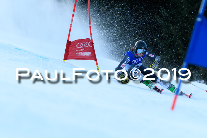 FIS Riesenslalom, ATA; Bay. Meisterschaft, Damen + Herren, 24.01.2020