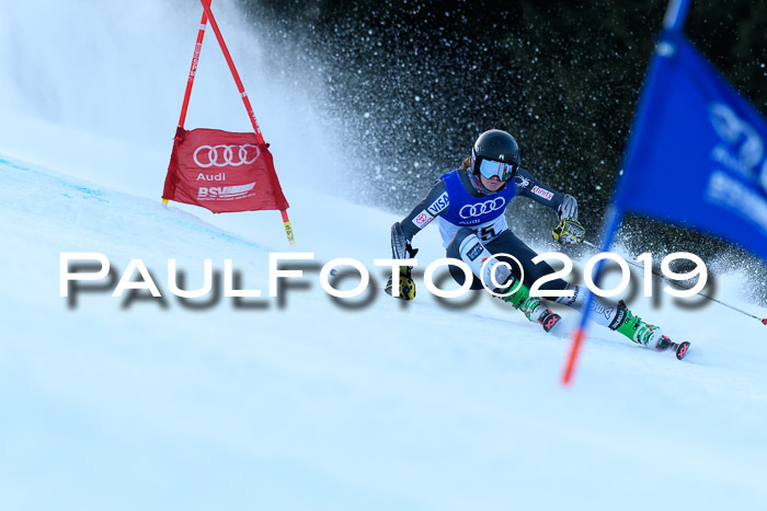 FIS Riesenslalom, ATA; Bay. Meisterschaft, Damen + Herren, 24.01.2020