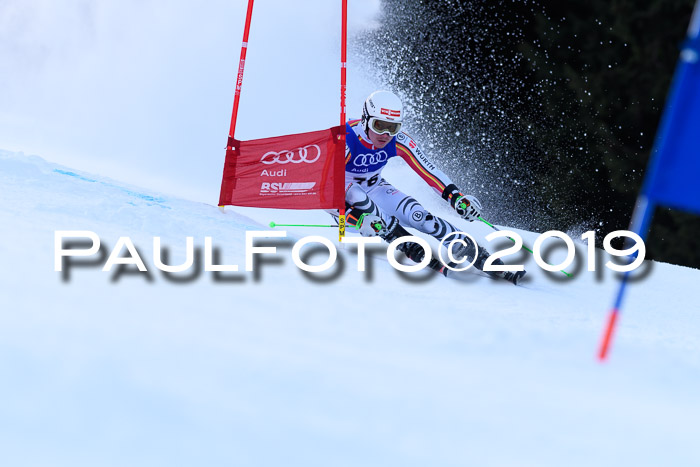 FIS Riesenslalom, ATA; Bay. Meisterschaft, Damen + Herren, 24.01.2020