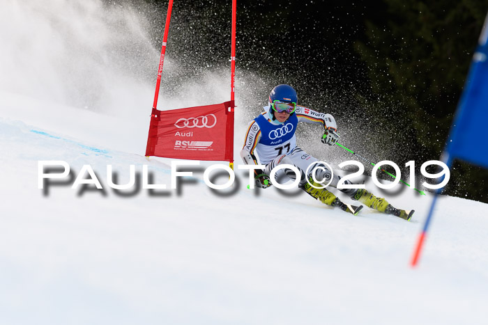 FIS Riesenslalom, ATA; Bay. Meisterschaft, Damen + Herren, 24.01.2020