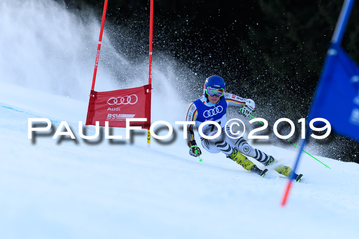 FIS Riesenslalom, ATA; Bay. Meisterschaft, Damen + Herren, 24.01.2020