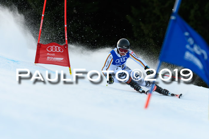 FIS Riesenslalom, ATA; Bay. Meisterschaft, Damen + Herren, 24.01.2020