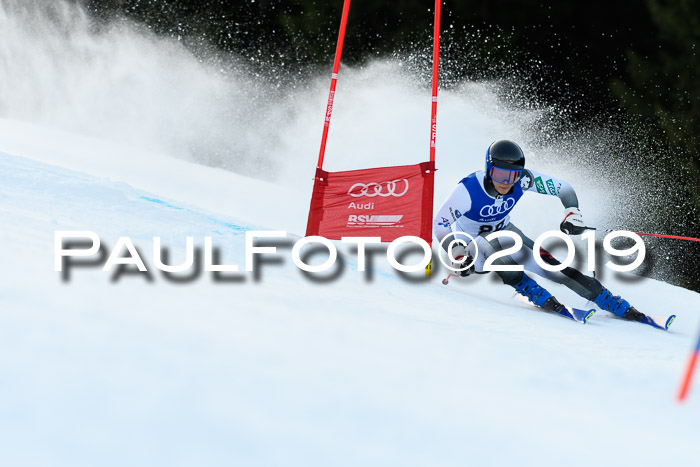 FIS Riesenslalom, ATA; Bay. Meisterschaft, Damen + Herren, 24.01.2020