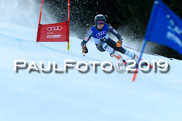 FIS Riesenslalom, ATA; Bay. Meisterschaft, Damen + Herren, 24.01.2020