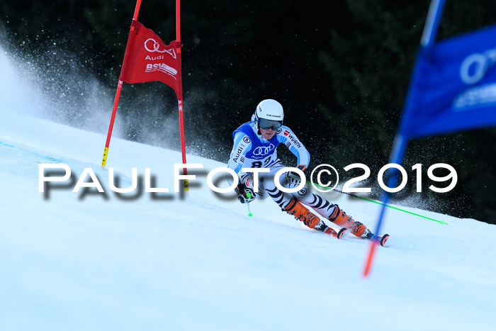 FIS Riesenslalom, ATA; Bay. Meisterschaft, Damen + Herren, 24.01.2020