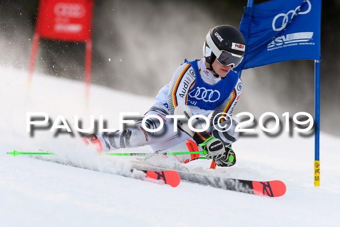 FIS Riesenslalom, ATA; Bay. Meisterschaft, Damen + Herren, 24.01.2020