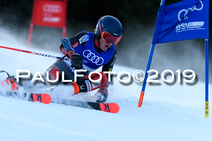 FIS Riesenslalom, ATA; Bay. Meisterschaft, Damen + Herren, 24.01.2020