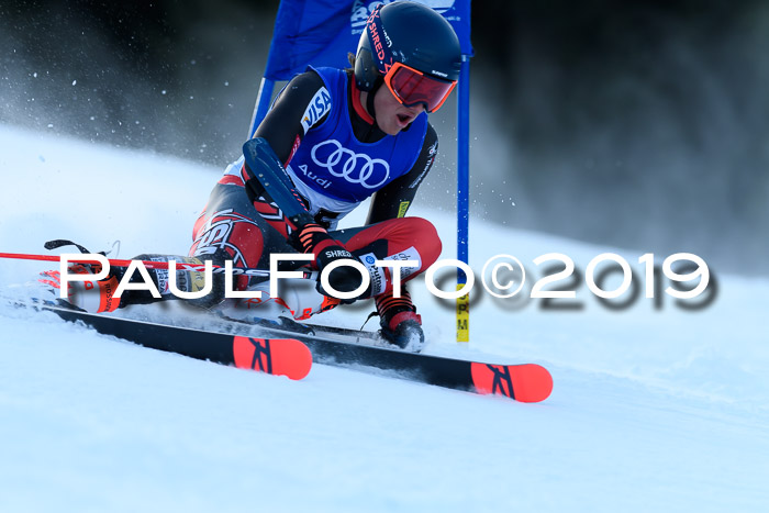 FIS Riesenslalom, ATA; Bay. Meisterschaft, Damen + Herren, 24.01.2020