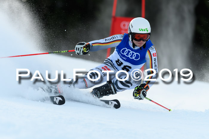 FIS Riesenslalom, ATA; Bay. Meisterschaft, Damen + Herren, 24.01.2020