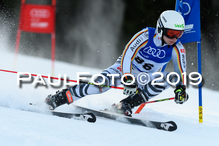 FIS Riesenslalom, ATA; Bay. Meisterschaft, Damen + Herren, 24.01.2020