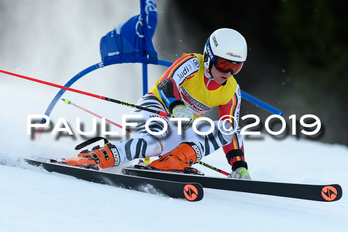 FIS Riesenslalom, ATA; Bay. Meisterschaft, Damen + Herren, 24.01.2020