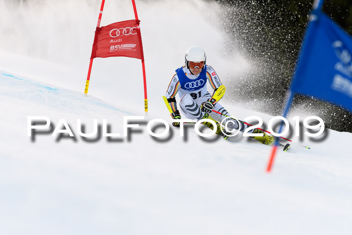 FIS Riesenslalom, ATA; Bay. Meisterschaft, Damen + Herren, 24.01.2020