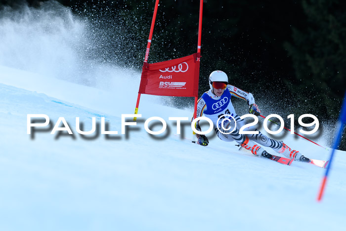 FIS Riesenslalom, ATA; Bay. Meisterschaft, Damen + Herren, 24.01.2020