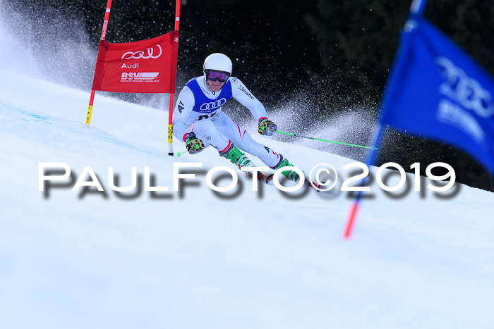 FIS Riesenslalom, ATA; Bay. Meisterschaft, Damen + Herren, 24.01.2020