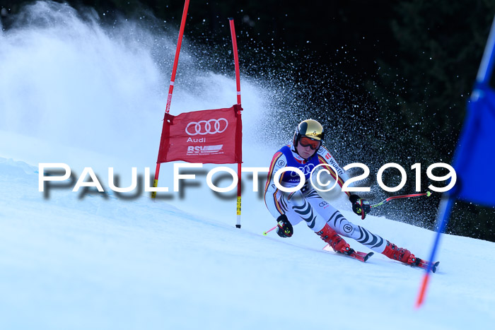 FIS Riesenslalom, ATA; Bay. Meisterschaft, Damen + Herren, 24.01.2020
