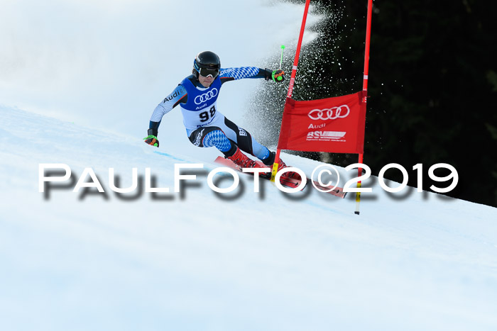 FIS Riesenslalom, ATA; Bay. Meisterschaft, Damen + Herren, 24.01.2020