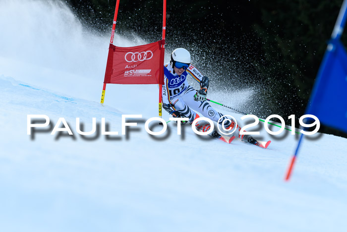 FIS Riesenslalom, ATA; Bay. Meisterschaft, Damen + Herren, 24.01.2020