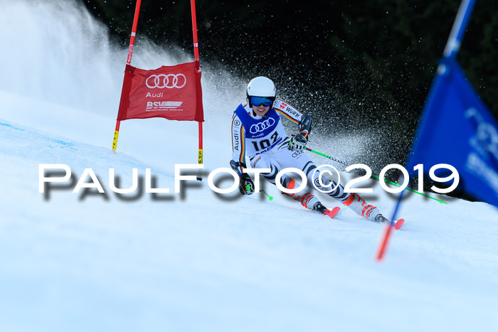 FIS Riesenslalom, ATA; Bay. Meisterschaft, Damen + Herren, 24.01.2020