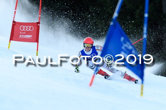 FIS Riesenslalom, ATA; Bay. Meisterschaft, Damen + Herren, 24.01.2020