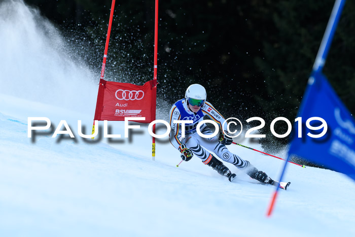 FIS Riesenslalom, ATA; Bay. Meisterschaft, Damen + Herren, 24.01.2020