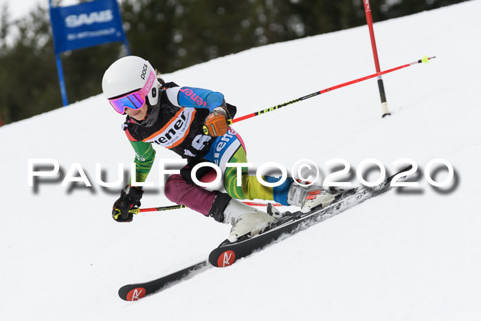 Ziener Cup WF u. U12 Kids Cross RSX 25.01.2020