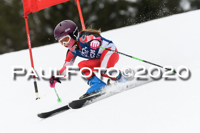 Ziener Cup WF u. U12 Kids Cross RSX 25.01.2020