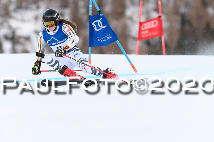 FIS + NJC Riesenslalom Damen + Herren 01.02.2020