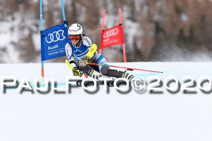 FIS + NJC Riesenslalom Damen + Herren 01.02.2020