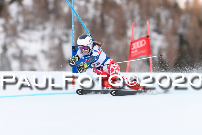 FIS + NJC Riesenslalom Damen + Herren 01.02.2020