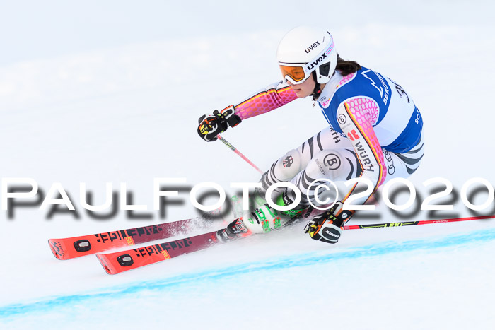 FIS + NJC Riesenslalom Damen + Herren 01.02.2020