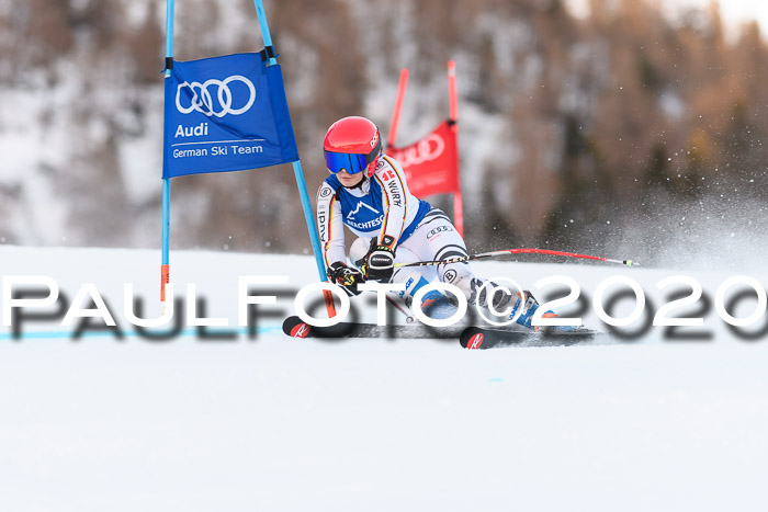 FIS + NJC Riesenslalom Damen + Herren 01.02.2020