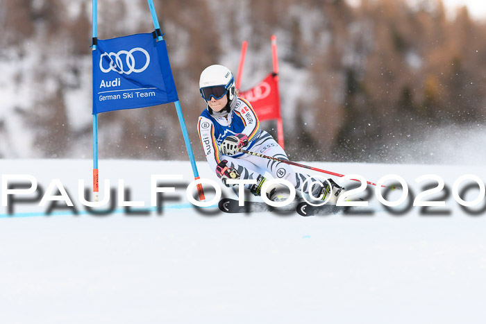 FIS + NJC Riesenslalom Damen + Herren 01.02.2020